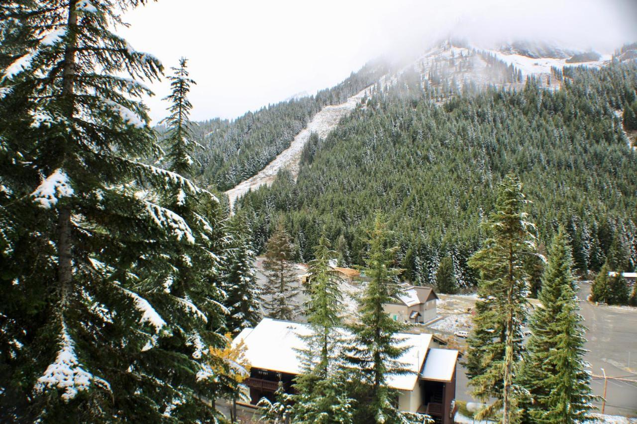 Crystal Chalets Greenwater Экстерьер фото