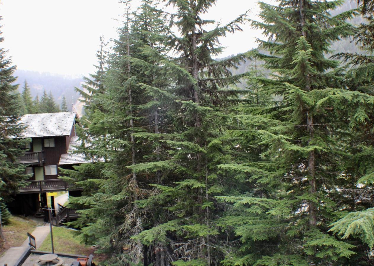Crystal Chalets Greenwater Экстерьер фото