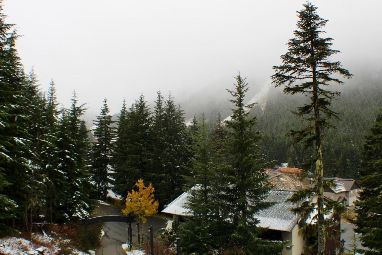 Crystal Chalets Greenwater Экстерьер фото
